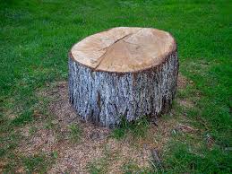  Cherryville, NC Tree Care Pros